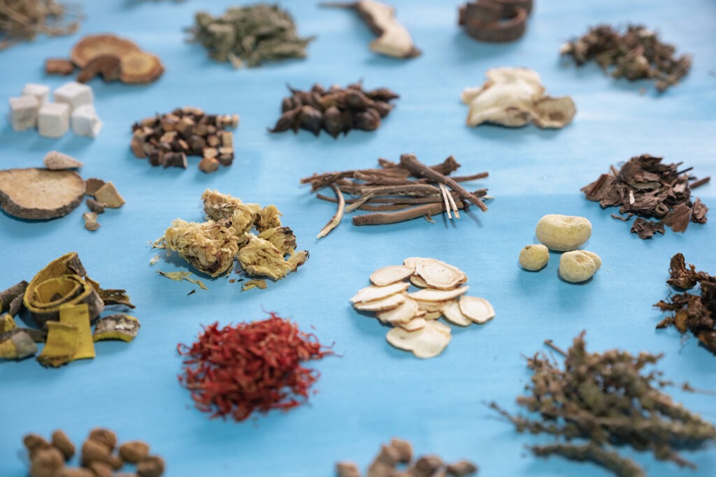 Endometriose Chinesische Medizin
