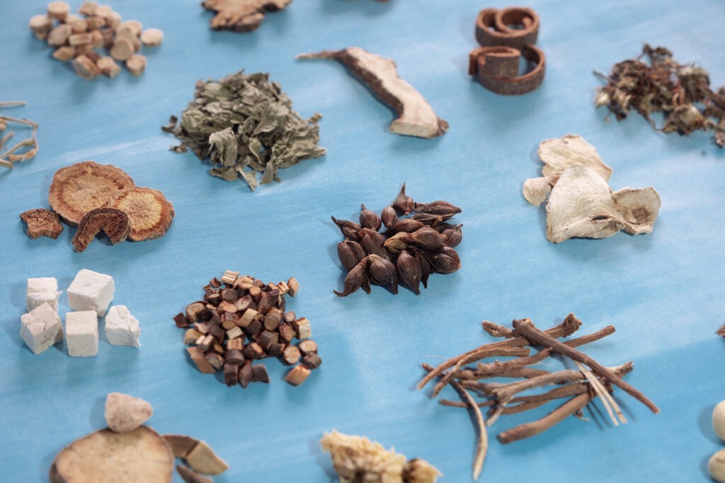 TCM bei Erschöpfung